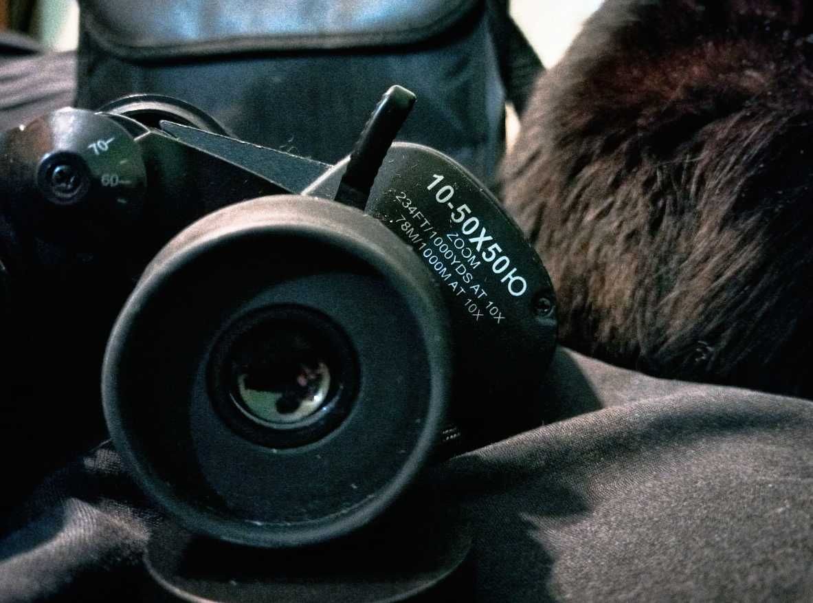 Бинокль Bushnell 10X zoom с сумкой, без кошки