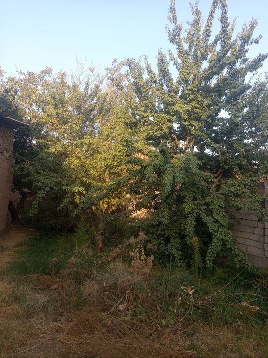 5.8 sotiqli xovli uy sotiladi.