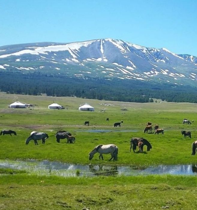 Натуральная продукция с моего хозяйство