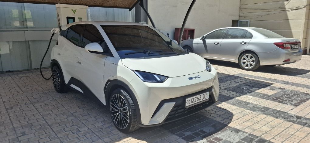 Byd seagull 2023