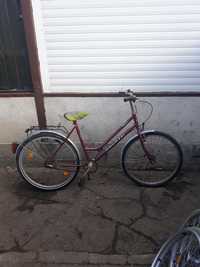 Bicicleta de dama