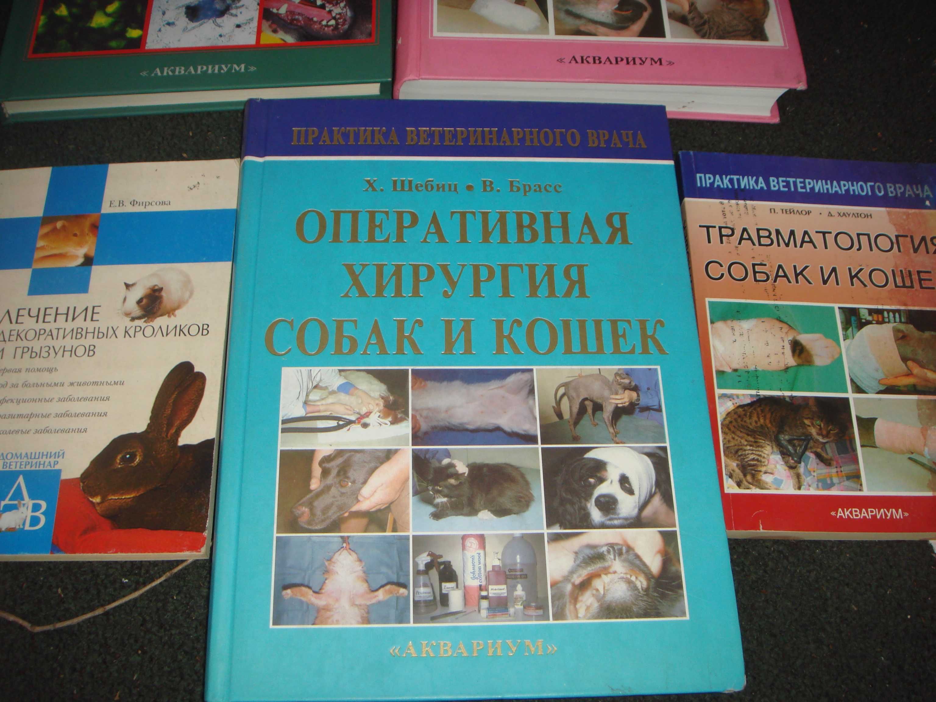 Книги по лечению и операциям для кошек и собак Альбомного Формата