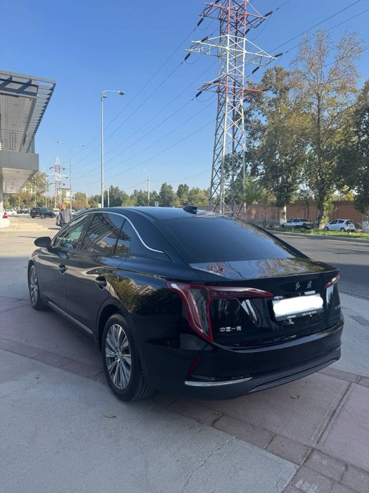 Hongqi EQM5 2024yil 450km