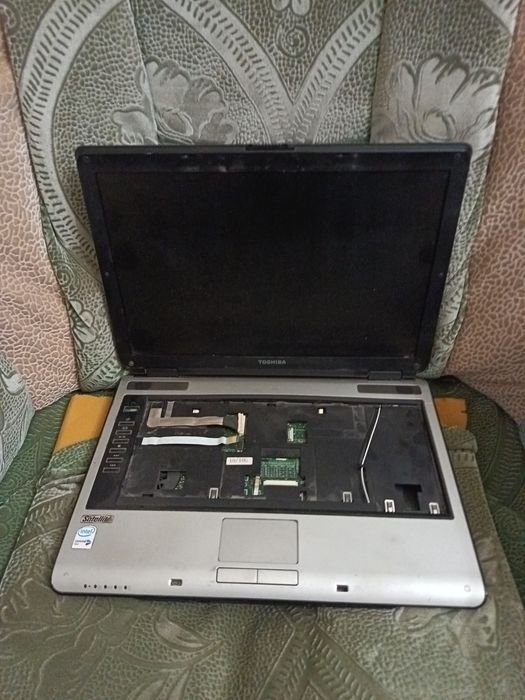 Ноутбуки Satellite Toshiba