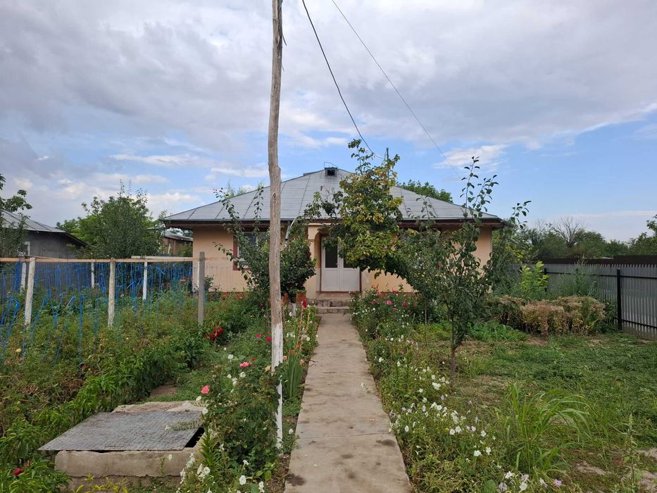 Vând casă suprafață 1000m², casa are 150 de m²