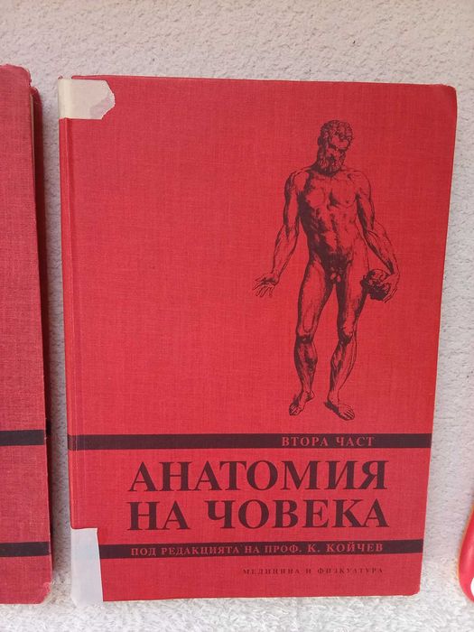 Анатомия на човека на проф Койчев,част 1 и2