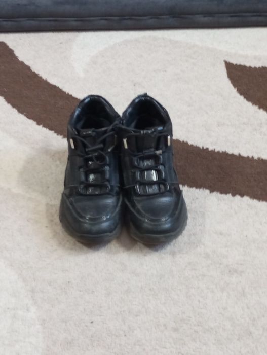 Продам осенние сопаги