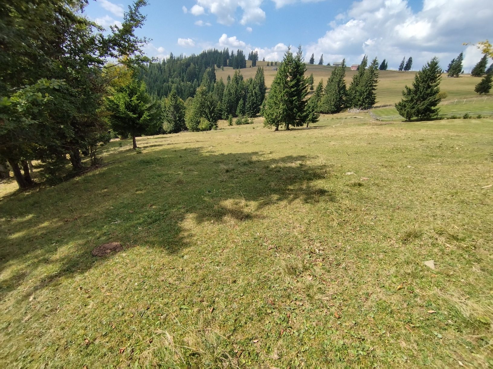 Teren Pasul Tihuța/Piatra Fântânele