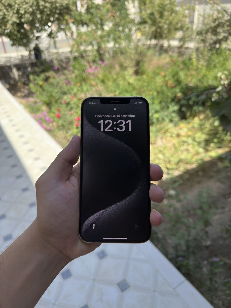 Iphone 12 pro max gold