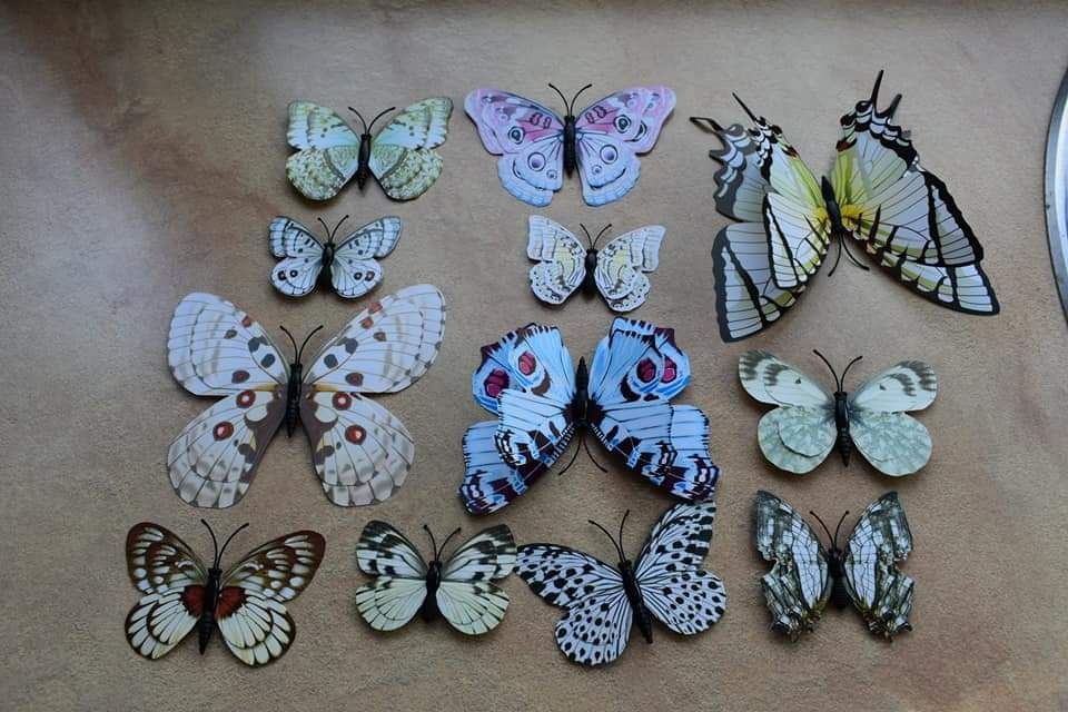 3D пеперуди за декорация