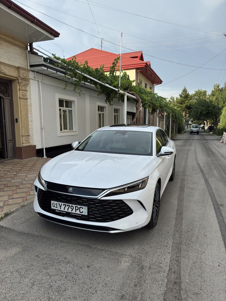 BYD QIN L 2024 sotiladi
