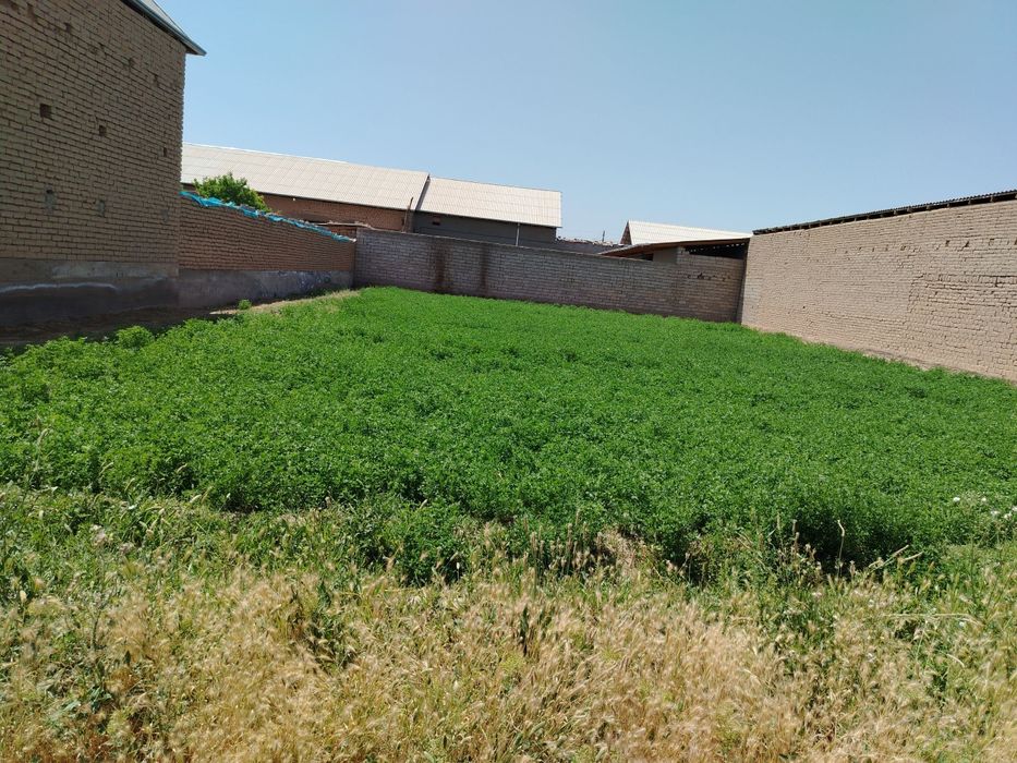 Hovli, yer-uchasrkasi sotiladi