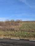De vânzare doua hectare teren extravilan Corbita