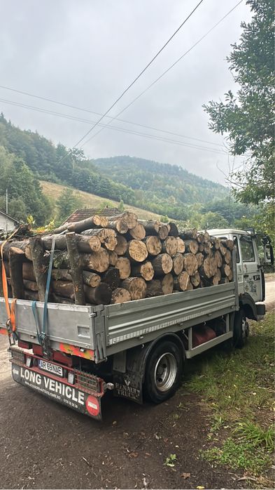 Lemne de foc esenta tare