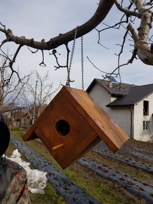Căsuțe păsări din lemn