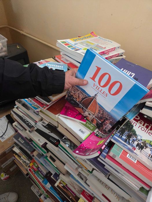 Carti in limba franceza