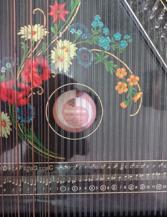 Instrument cu corzi profesional