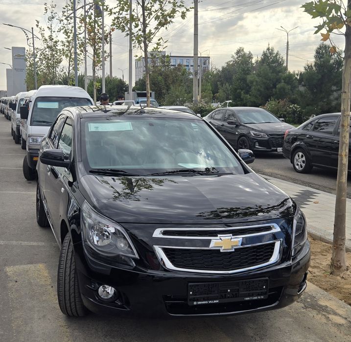 **Cobalt midnight 2025. Qora gbo rang