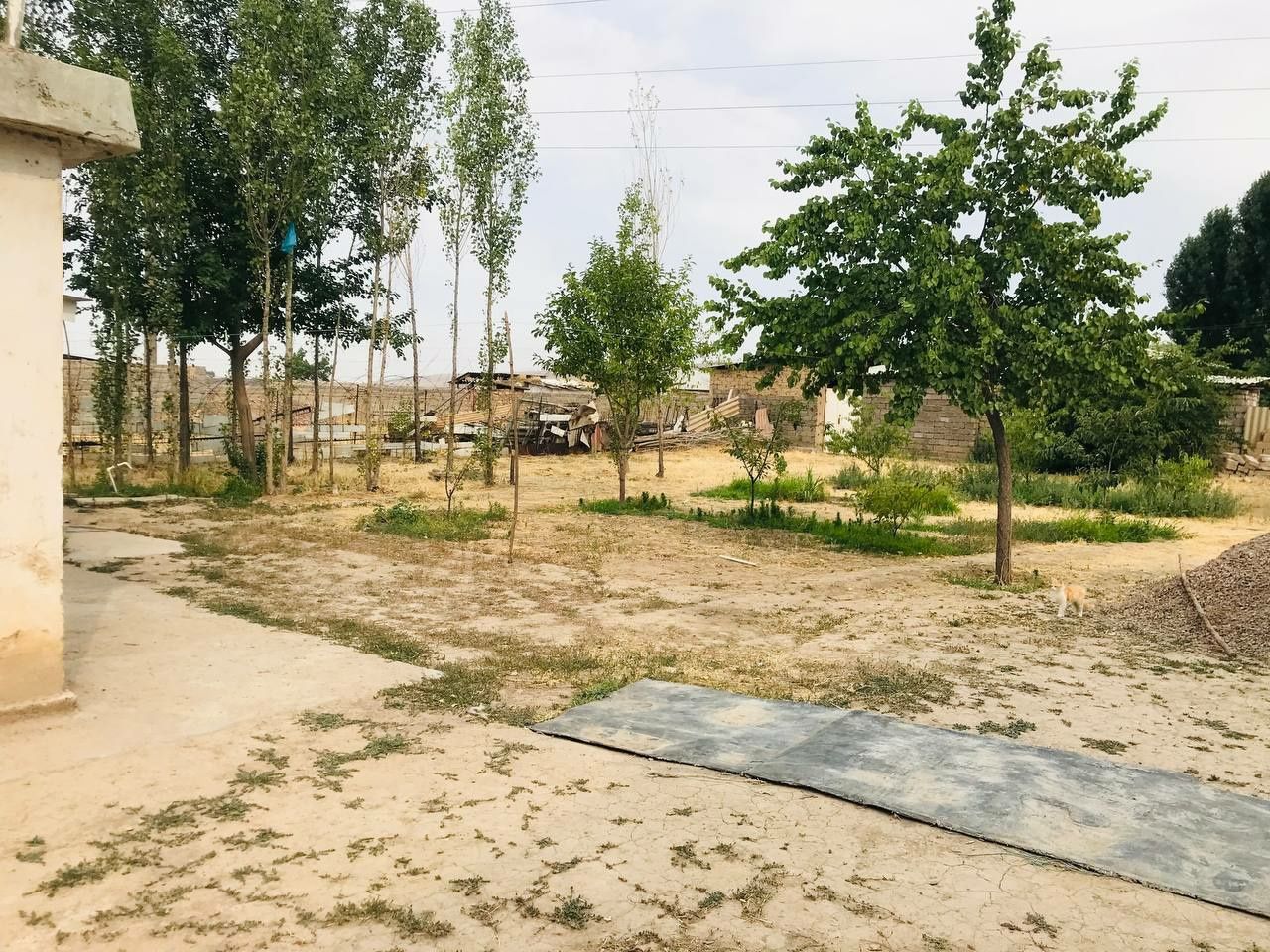 Olmaliq Uzumbog‘ tomonda