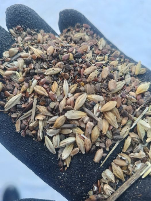 Продам отходы Льна