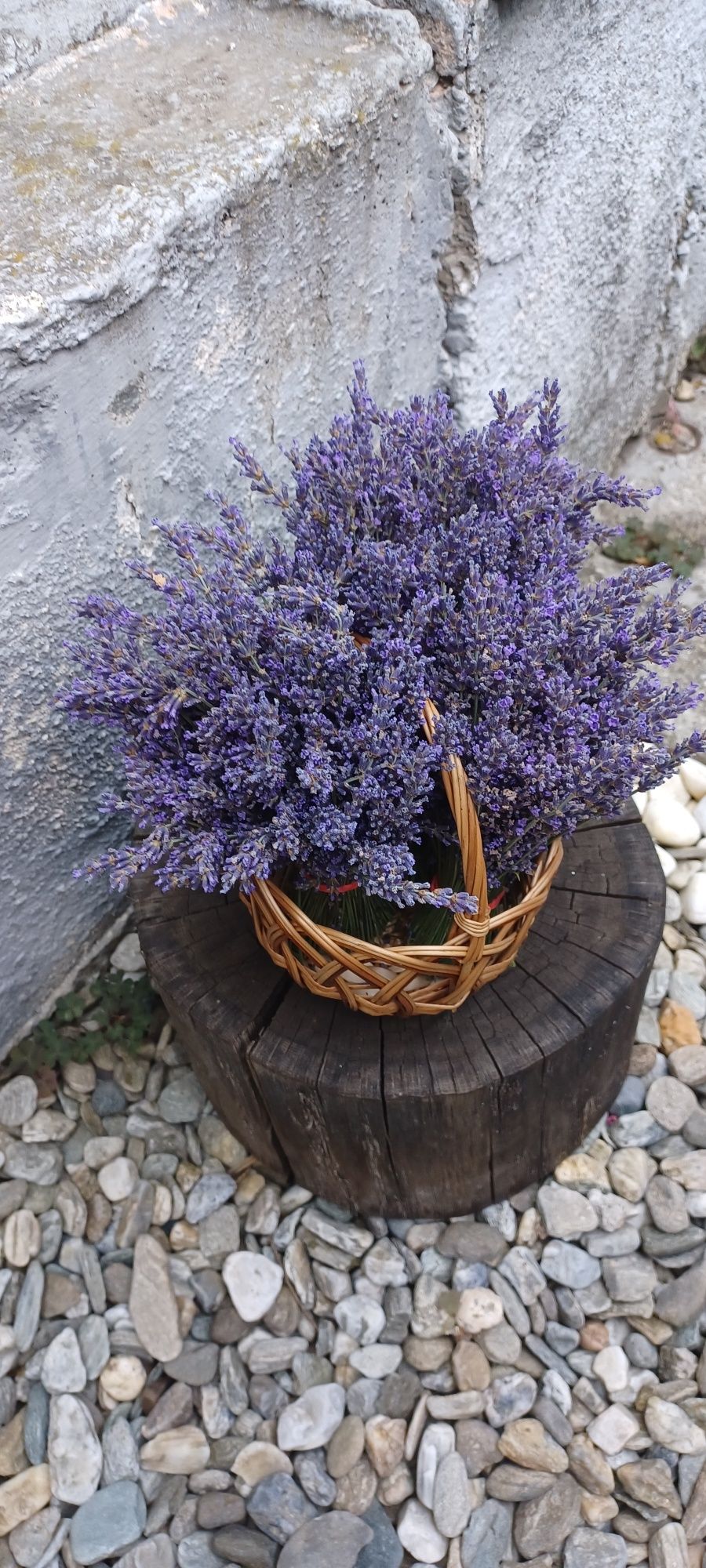 Buchete aranjamente cu lavandă