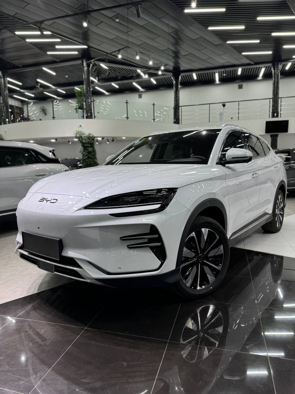 BYD chempion Honor 24/25 natarusga tayyor