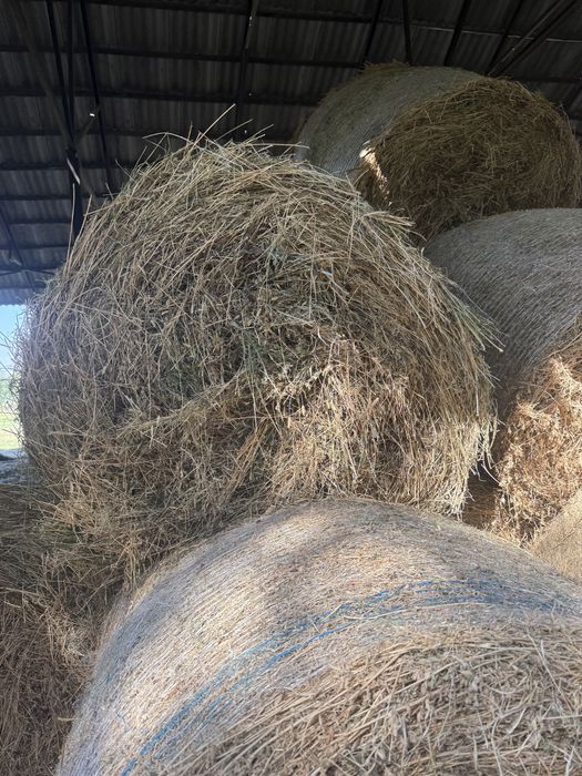 Vand baloti de lucerna