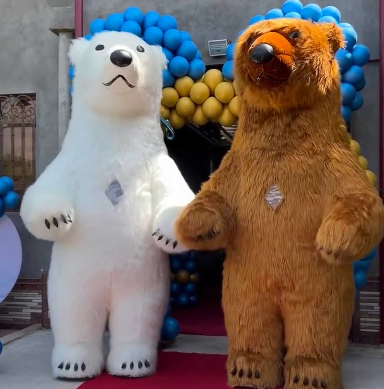 Afarmleniya sharami oformleniya ayiqlar teddy аниматор оформление