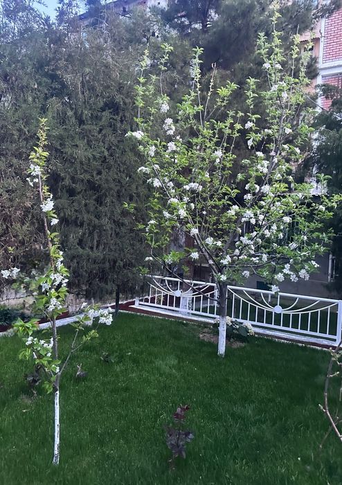 Юнусабад 14, 4(5)/1/5 УлУчШеНкА Неторец Балкон 6 на 2 Хороший Ремонт