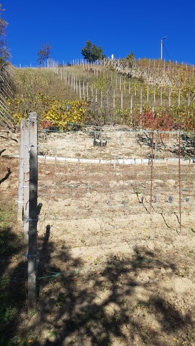 Teren la periferia Zalaului zona Bradet-Meses