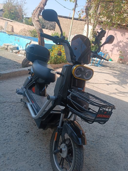 sukuter  Drongo Xolati alo