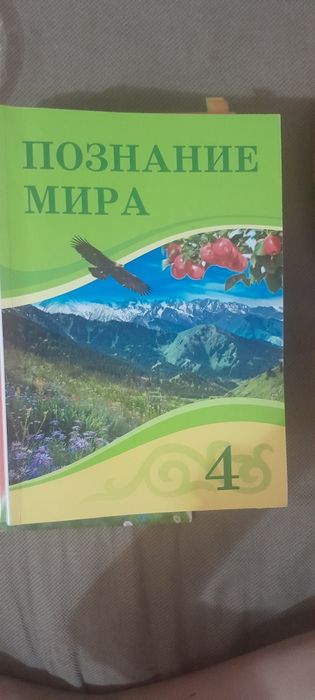 познание мира 4 класс