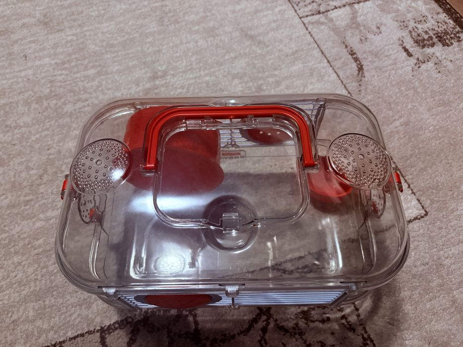 Hamster cu accesorii