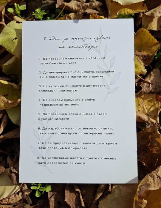 Многолистов календар с авторска фотография на диви цветя 2026г.