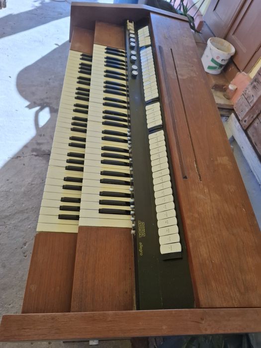 Vand Orga  Riha Allegro perfect functionala!