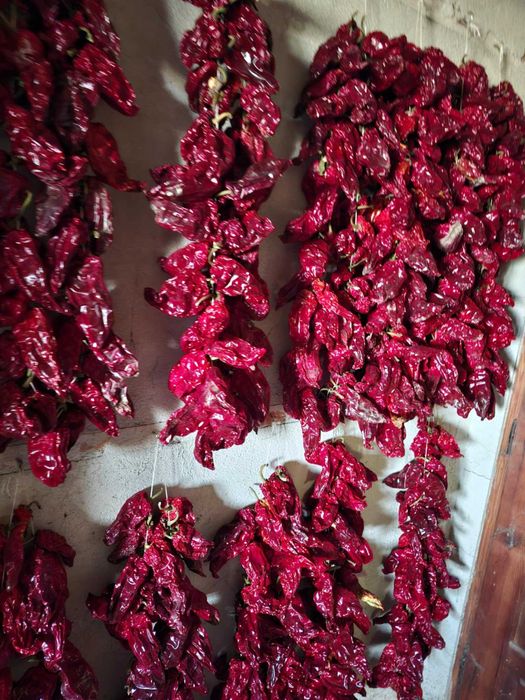 Домашно сушени чушки – българско производство, налични количества