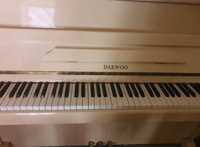 Pianina Daewoo Royal