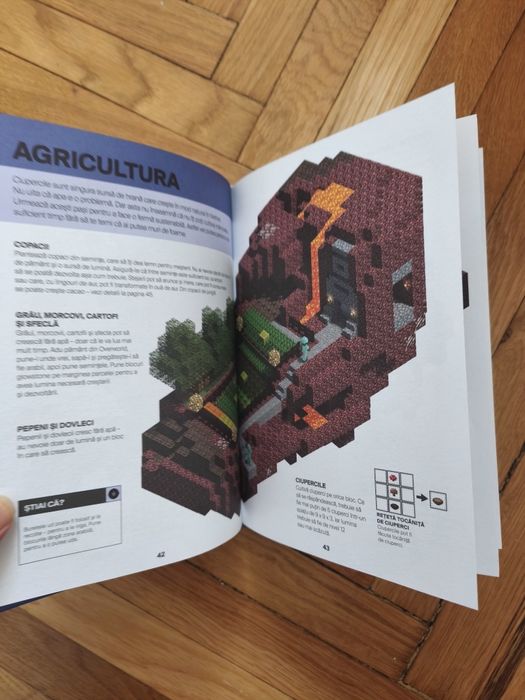 Set cărți Minecraft