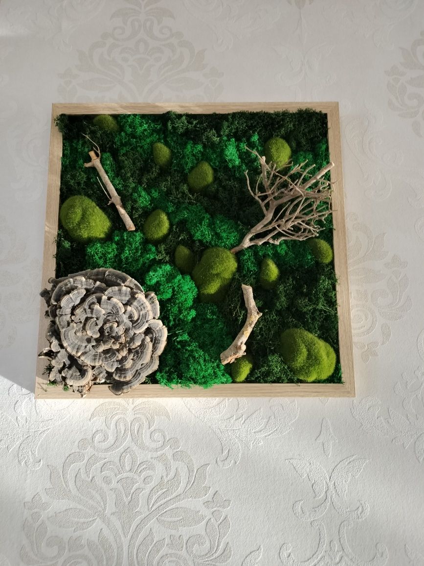 Ceasuri și tablouri cu licheni