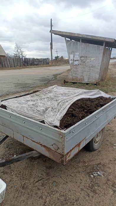 Продам перегной навоз привезу в город