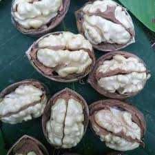 Vindem si plantam nuci altoiți Românești Geoagiu