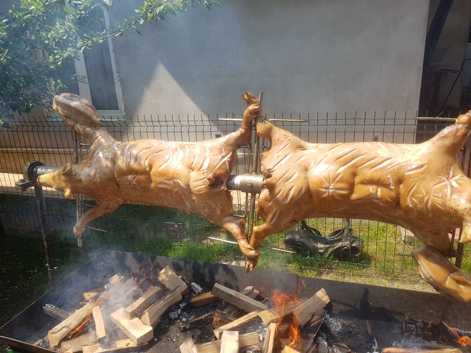 Animale protap rotisor nunti botezuri evenimente