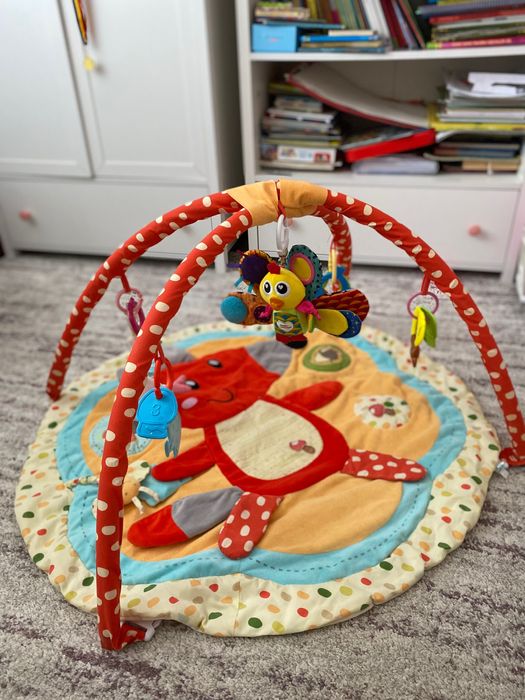 Salteluta activitati