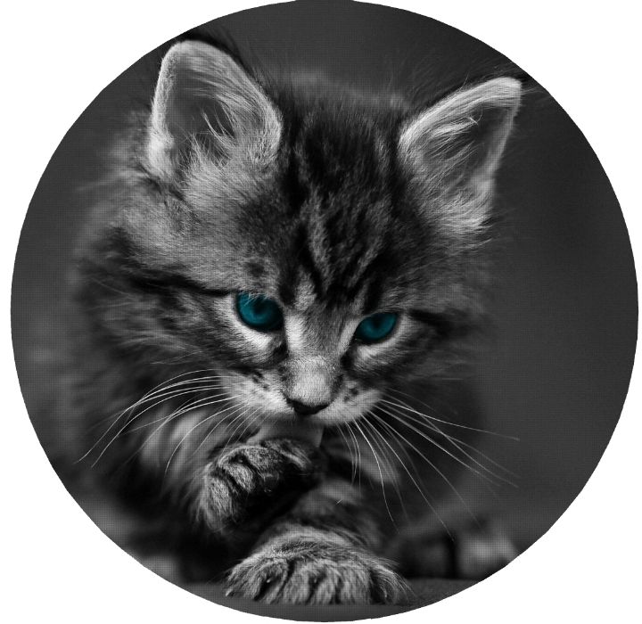 Cerb Husa Pentru Roata De Rezerva Pisică Elefantul Leul