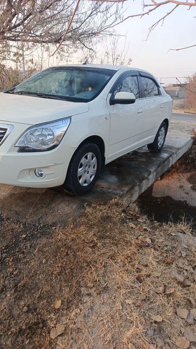 Cobalt RAVON 2019 dekabr