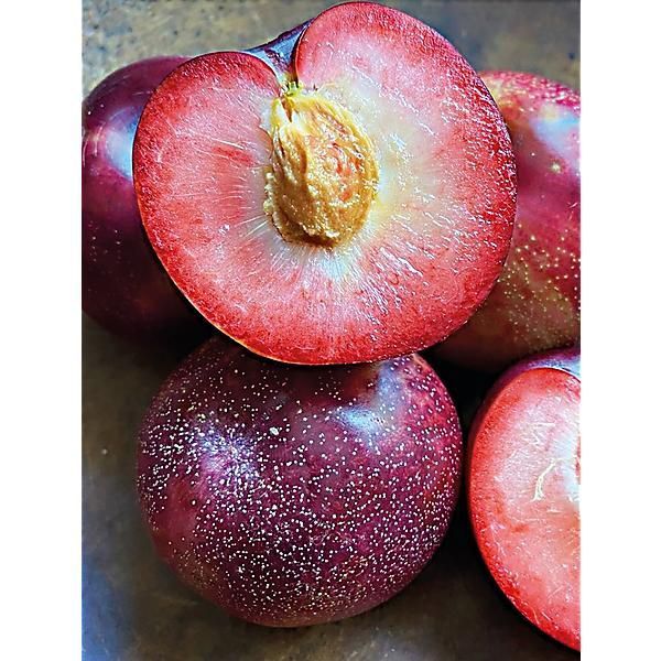 Cais Deosebit Apeikyra