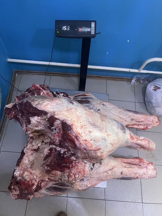 Продам говядину ляжки, мякоть оптом и в розницу