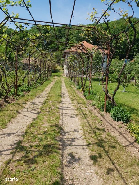 Vila P+E cu teren 2559 mp, vie, garaj, izvor - Borosteni, Gorj