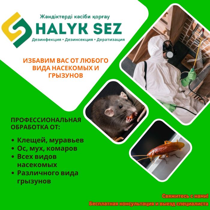 Уничтожение крыс, клопов. Дезинфекция от клопов. Дезинфекция от тарака