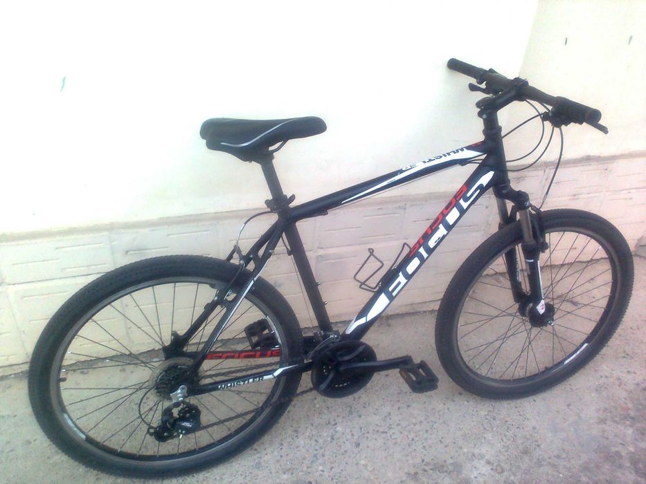 FOCUS Whistler Евтино и Изгодно 250 лв